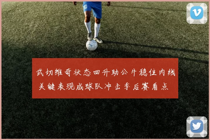 武切维奇状态回升助公牛稳住内线 关键表现成球队冲击季后赛看点
