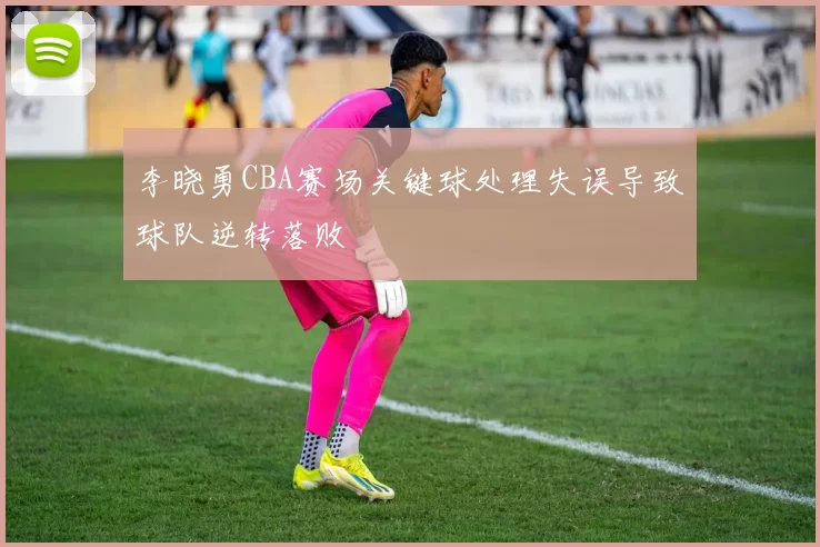 李晓勇CBA赛场关键球处理失误导致球队逆转落败