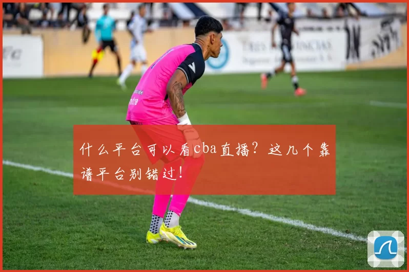 什么平台可以看cba直播？这几个靠谱平台别错过！