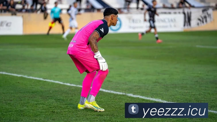 9游app(官方)APP下载安装IOS/安卓通用版/手机版平台生态图