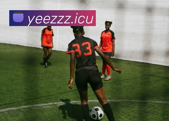 数据防护可视化